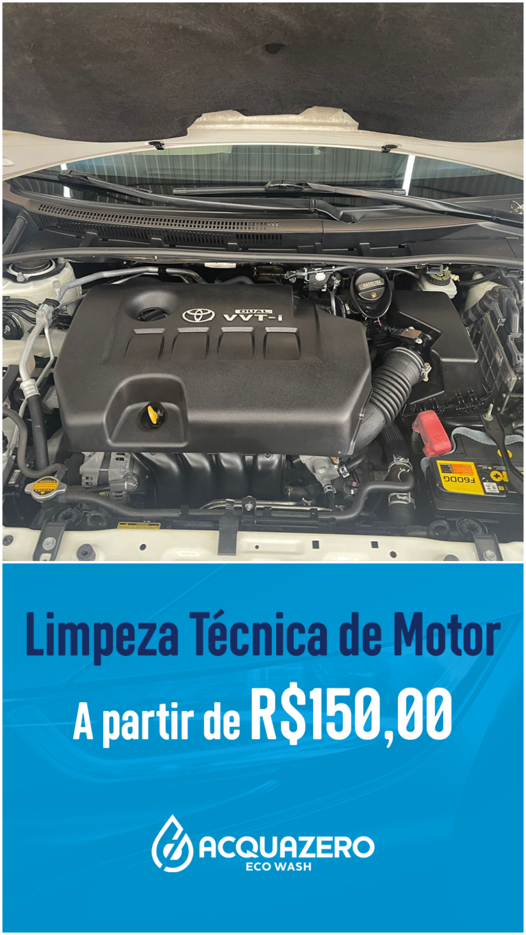 STORY LIMPEZA TÉCNICA DE MOTOR