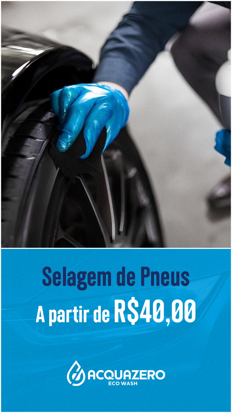 STORY SELAGEM DE PNEU